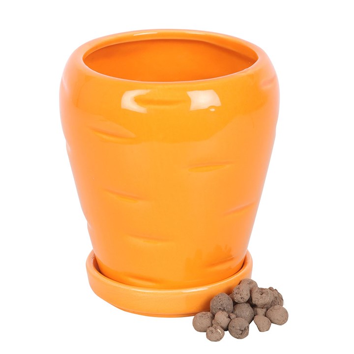 Carrot Shaped Plant Pot with Parsley Seeds