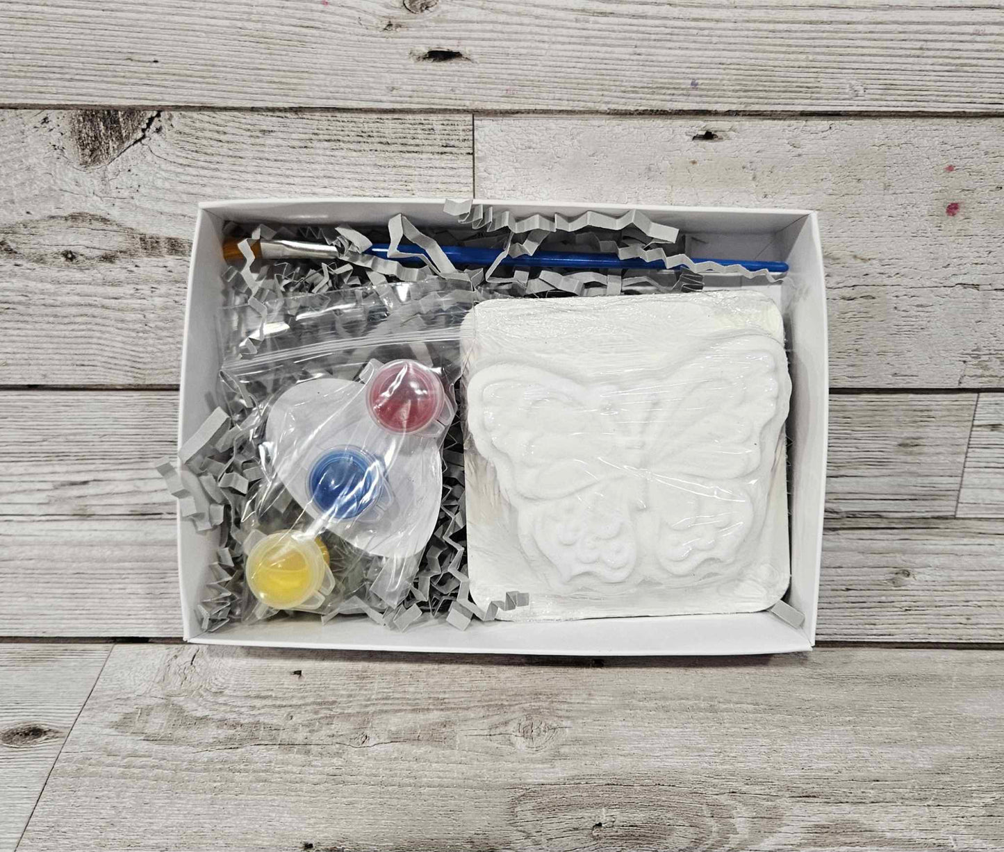 Paint Your Own Butterfly Bath Bomb Kit