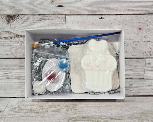 Paint Your Own Cute As A Cupcake Bath Bomb Kit